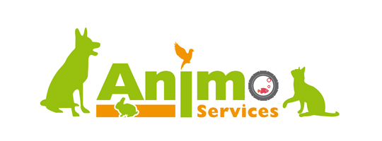Animo Services Vannes Devient Lhôtel Du Chat Doré Hôtel